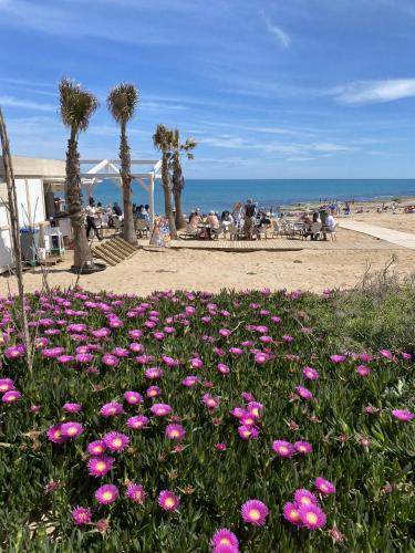 Apartamentos con piscina y vistas al mar-La Mata