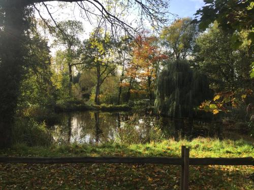 a pond in the middle of a park at Aan de Jordaan in Boutersem