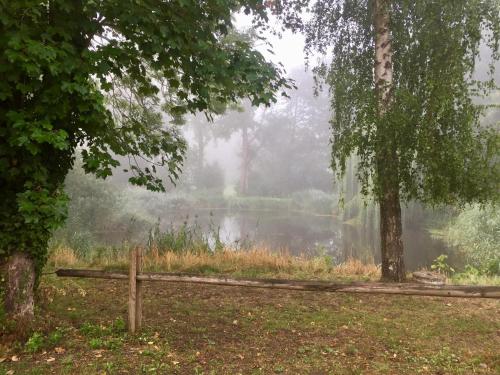 a misty lake in the middle of a park at Aan de Jordaan in Boutersem