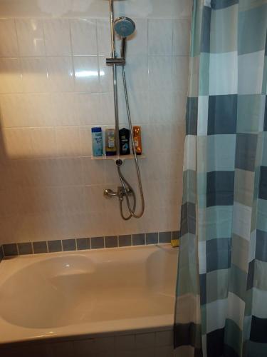 a bathroom with a bath tub with a shower at Aureus Fons, Ganzes Haus, Altstadt 160 m, 24h Selbst-Check-in, Wi-Fi in Höchstadt an der Aisch