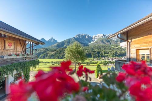 a group of red flowers in front of a house at Im Kranzhof in San Candido