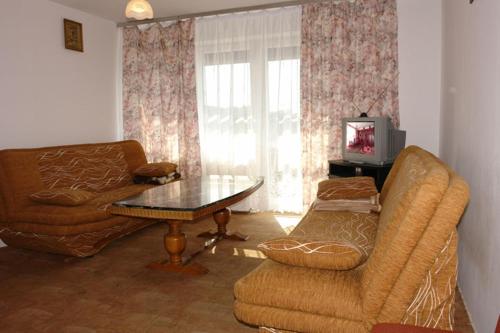 a living room with a couch and a table at Noclegi Zlota Gorka in Polańczyk