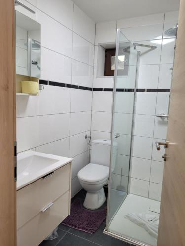 ein Badezimmer mit Toilette und Glasdusche in der Unterkunft Apartament Zaharia in Tumpen