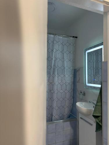 a bathroom with a shower and a sink at Central One Business & City Stay in Brčko
