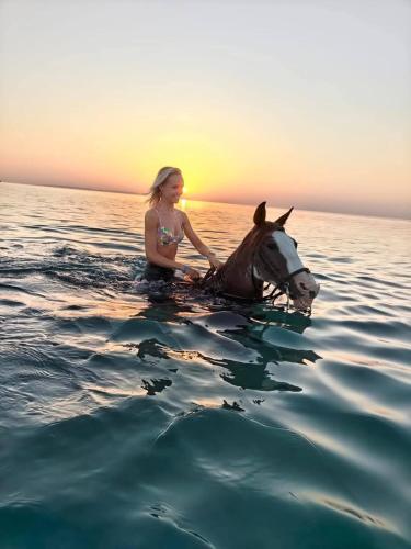 Luxury suit with private beach and aquapark