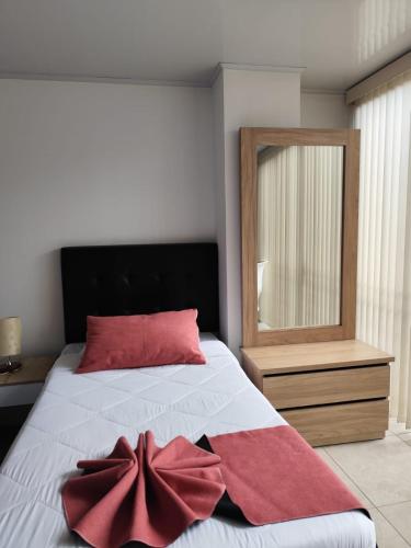 a bedroom with a bed with red pillows and a mirror at Hotel Monarka-Edificio in Popayan