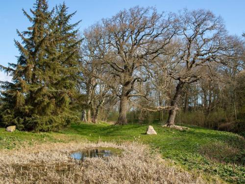 a group of trees and a pond in a field at 4 person holiday home in Vordingborg in Vordingborg