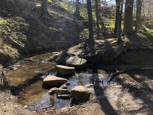 a stream of water with rocks in a forest at 4 person holiday home in Vordingborg in Vordingborg