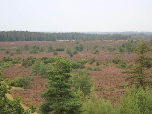 a large open field with trees in the distance at Holiday home in Central Jutland in Hovborg