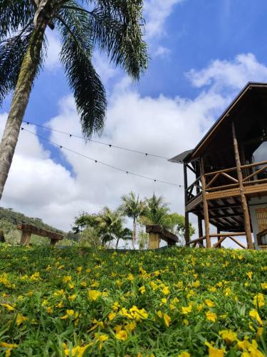 a palm tree and a field of yellow flowers at Refugio Poço do Cânion in Barracão