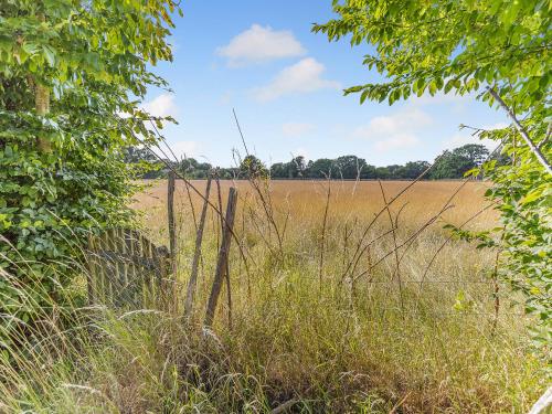 a fence in a field of tall grass at The Nutshell in Pluckley