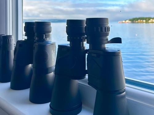 a group of blue bottles sitting on a window sill at Holy Loch View in Strone