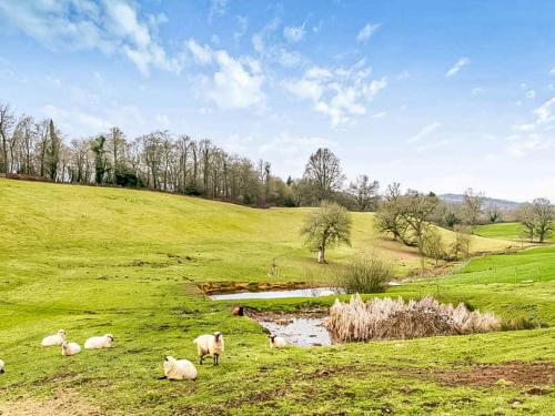 a group of sheep laying in a field at Hole Farm - Stable Cottage in Shootend