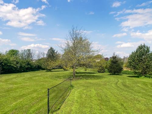 a tree in the middle of a grass field at The Cabin in Dearham