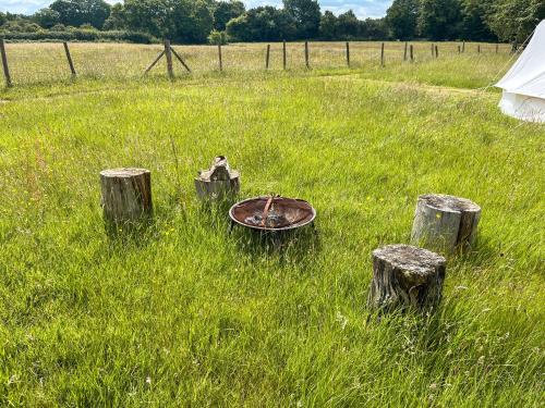 a field with some logs in the grass at Water Vole - Uk49931 in Shadoxhurst
