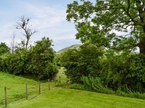 a path through a field with trees and a fence at Sweet Briar - Uk49797 in Brecon