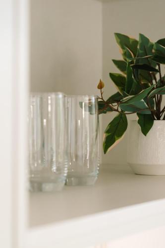 two empty glasses sitting on a shelf next to a potted plant at CASSA AURA PLACE - Modern 4BR Homes in Brisbane