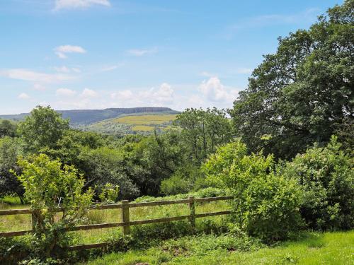 une clôture en bois au milieu d'un champ dans l'établissement Thatched Cottage - Uk50261, à Llandeilo