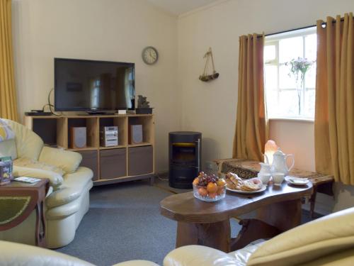 a living room with a couch and a tv at Owls About - Uk6756 in Cenarth