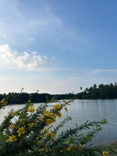 a body of water with a bunch of yellow flowers at Rumah Sungai Impiana PCB in Gua Sai