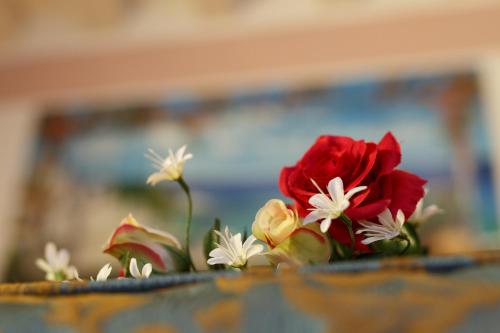 a group of flowers sitting on top of a table at Sweet Home in Treviso