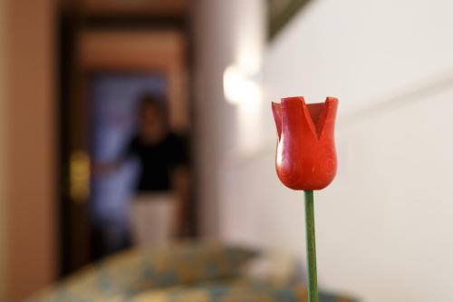 a red flower on a green stem with a woman in the background at Sweet Home in Treviso