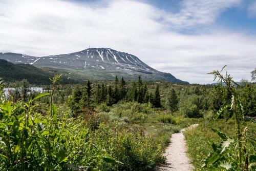 a mountain in the distance with a dirt trail at Kvitåvatn Fjellstue in Gaustablikk