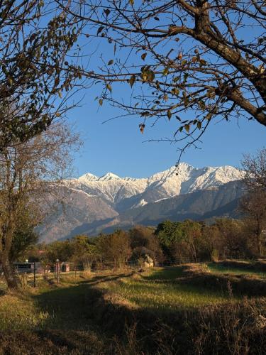 a view of snow covered mountains from a field at Hans BnB Charming stay amidst nature in Bīr