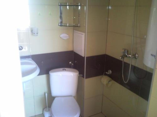 ソゾポルにあるStudio Todorovv Sozopolのバスルーム(トイレ、シャワー、シンク付)