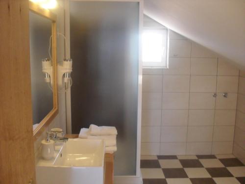 een badkamer met een wastafel en een spiegel bij Apartment Bogoje in Kučište