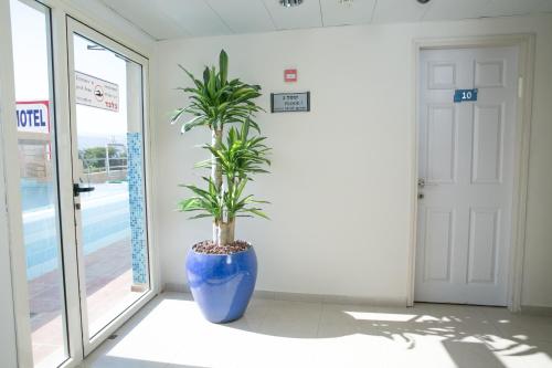 Fotografie z fotogalerie ubytování Motel Aviv v destinaci Eilat