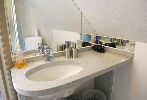 a bathroom counter with a sink and a mirror at Logies Ternier in Nieuwpoort