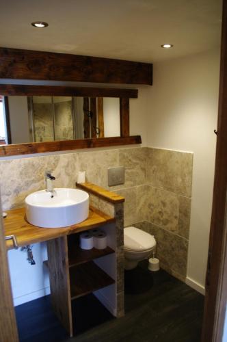 a bathroom with a sink and a toilet at Petit Chalet Vieux Bois in Bozel