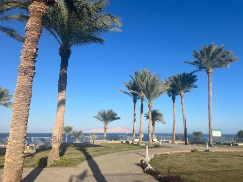 Private Suit Chalet in 5stars Resort Sharks Bay