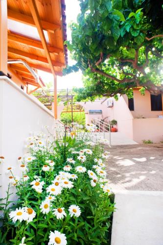 a garden of daisies in front of a building at Dolphin Apartments in Frangokastello