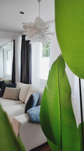 a living room with a white couch and a green plant at Hochwertiges Apartment Glauchau Wi-Fi Netflix Disney in Glauchau