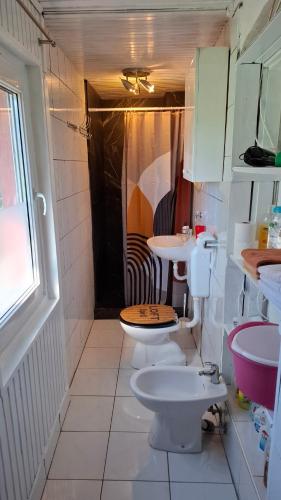 Koupelna v ubytování Apartman Anika