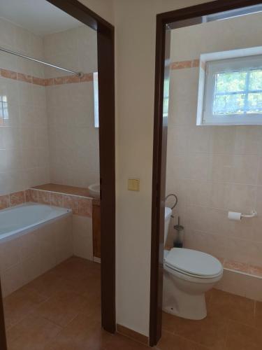 a bathroom with a toilet and a tub and a sink at Apartman Janky 299 in Trutnov