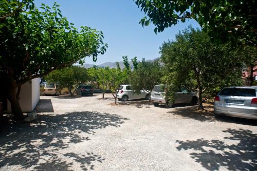 a group of cars parked in a parking lot at Dolphin Apartments in Frangokastello