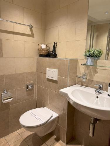 a bathroom with a toilet and a sink at Hotel Plzeňský Dvůr in Frýdek-Místek