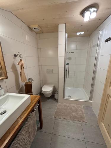 a bathroom with a shower and a sink and a toilet at Gîte Au Pré des Chevaux in Chateau-d'Oex