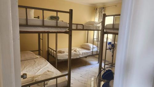 a room with three bunk beds in a room at NO CASH ACCEPTED-MEETING POINT-Volcanic Beach Refuge-Group Housing in São Filipe