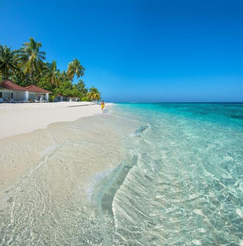 a sandy beach with palm trees and the ocean at Diamonds Thudufushi Maldives Resort & Spa in Thundufushi