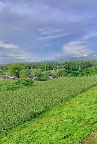 a large field of green grass with trees in the background at MAYABO CONDO by Urban Deca Home Batangas in Batangas City