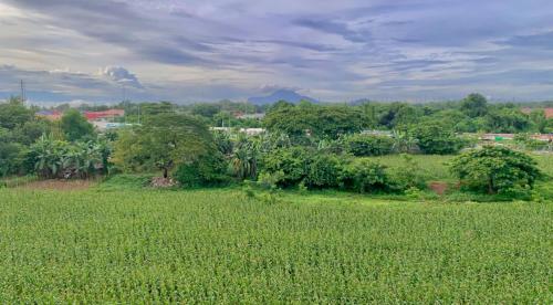 a field of green grass with trees in the background at MAYABO CONDO by Urban Deca Home Batangas in Batangas City