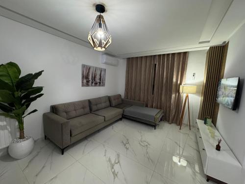El Aouina StationにあるDiamond apartmentのリビングルーム(ソファ、鉢植え付)