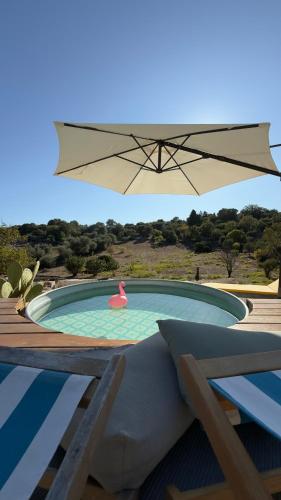 a swimming pool with a pink flamingo in the water at La Mia Lamia in Cisternino