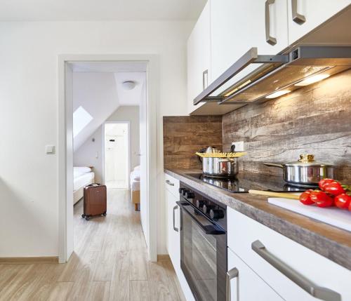 Kuchyň nebo kuchyňský kout v ubytování Pamir - 26