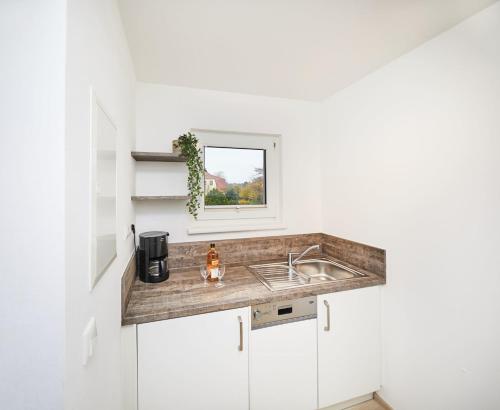 Kuchyň nebo kuchyňský kout v ubytování Pamir - 26