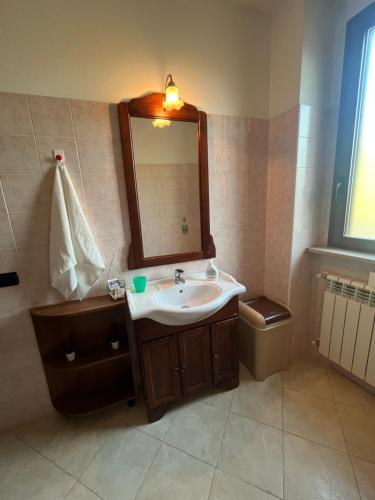 a bathroom with a sink and a mirror at Agriturismo la ruota in Bereguardo